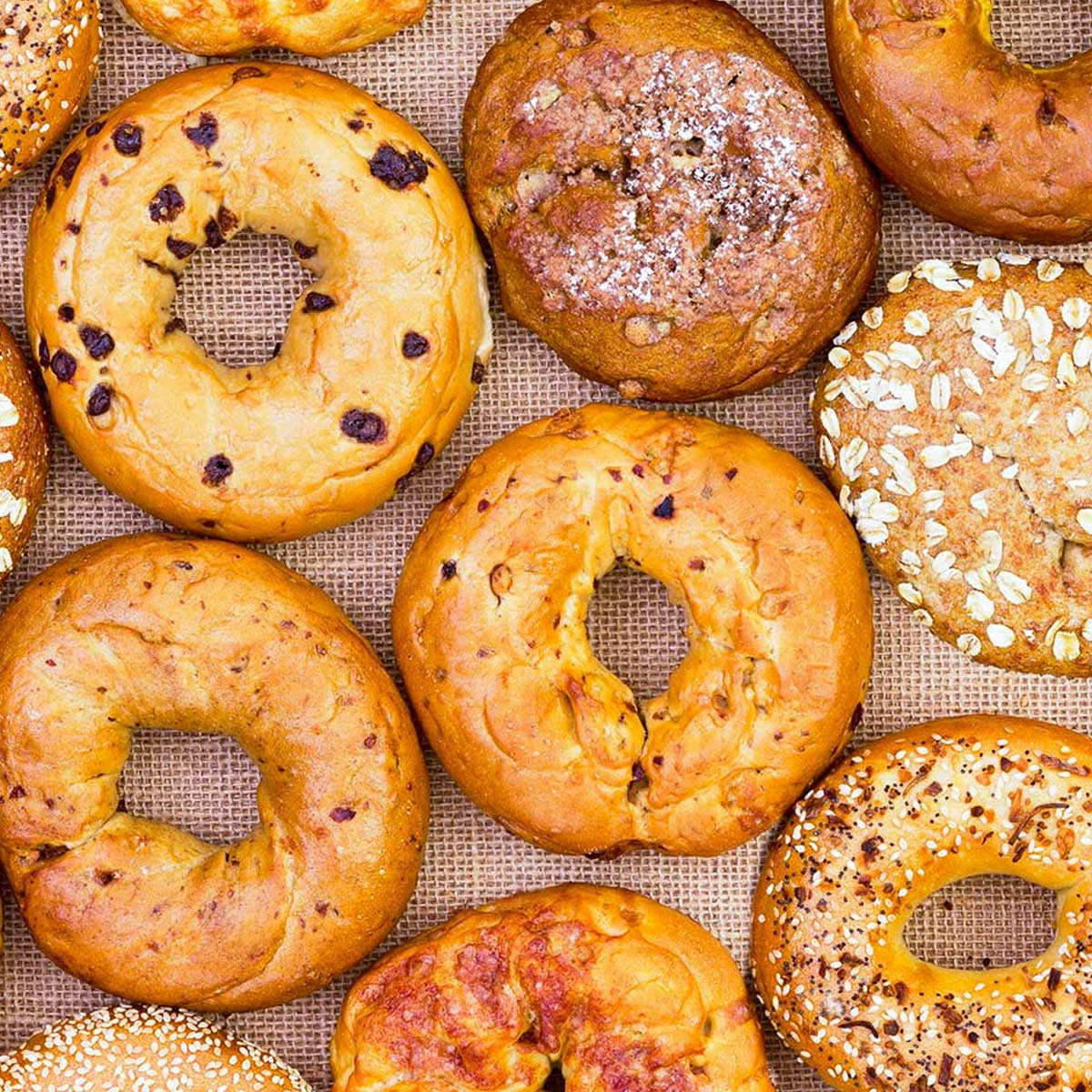 National Bagel Day - January 15, 2026 - National Today intended for National Bagel Day January 2026
