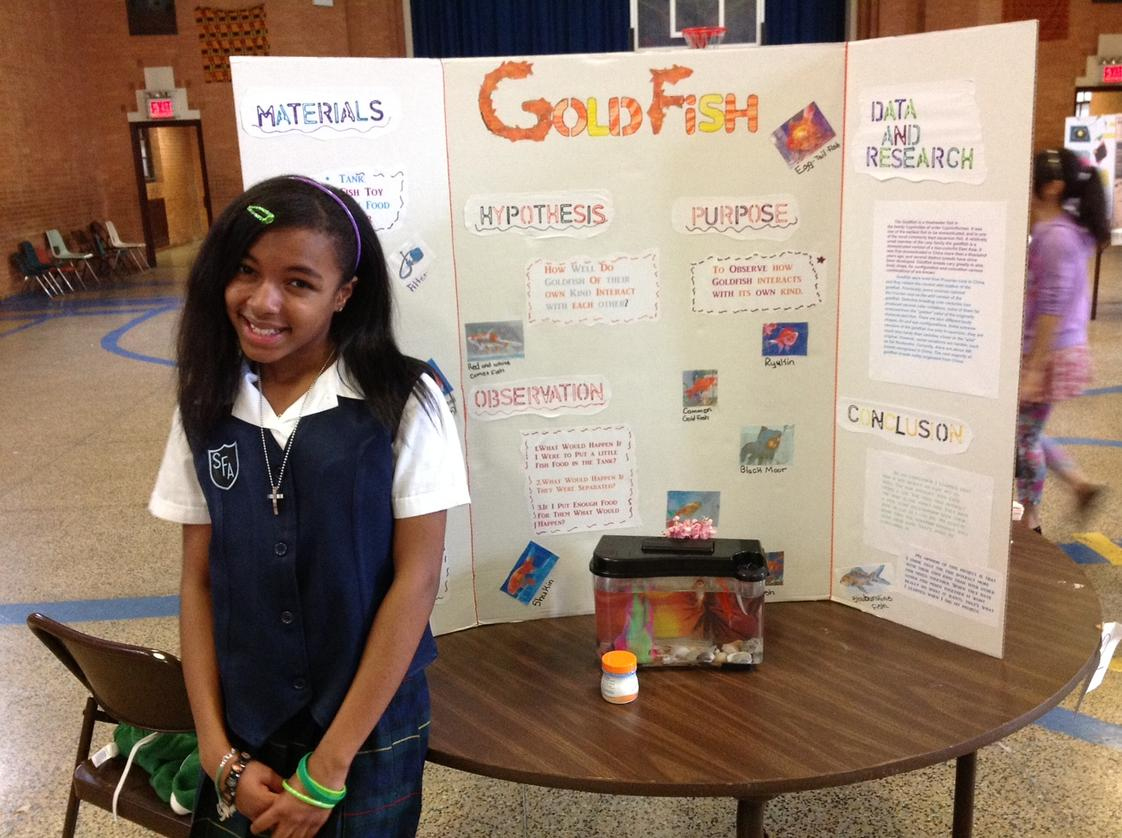 St. Francis Of Assisi Catholic Academy (Top-Ranked Private School intended for Brooklyn Catholic Schools Calendar 2026 - 2027